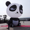 Inflatable Model E16-2