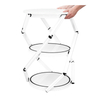 Portable Display Counter E10A