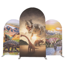 Fabric Arch Backdrop E03E2