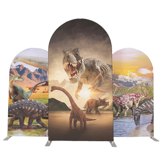 Fabric Arch Backdrop E03E2