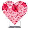 Party Heart Backdrop E03A11